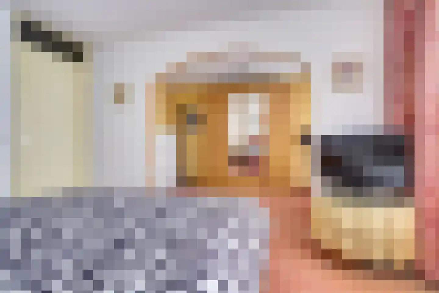 Munterstraat 11 Best thumbnail 22