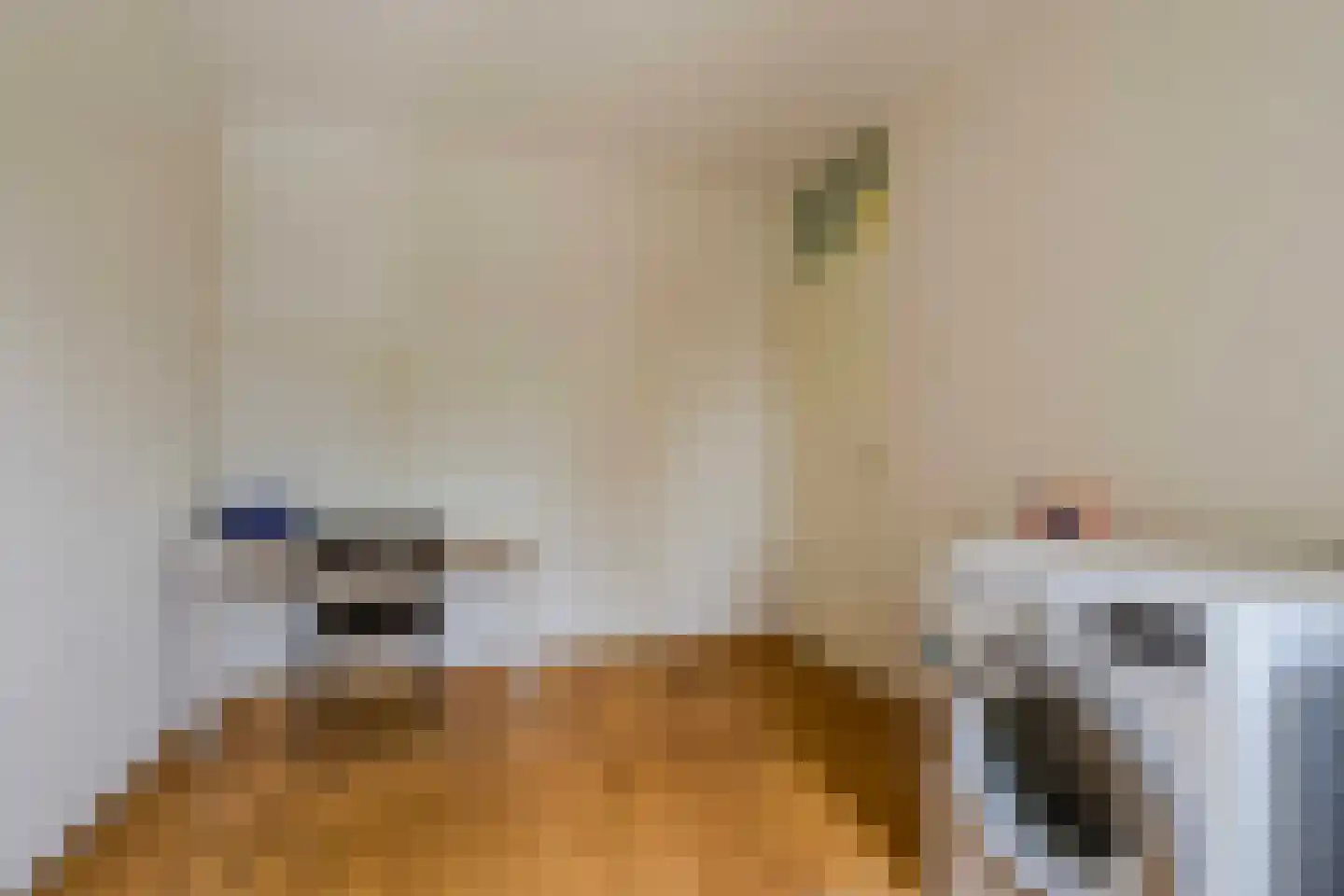 Munthof 42 Voorhout thumbnail 38
