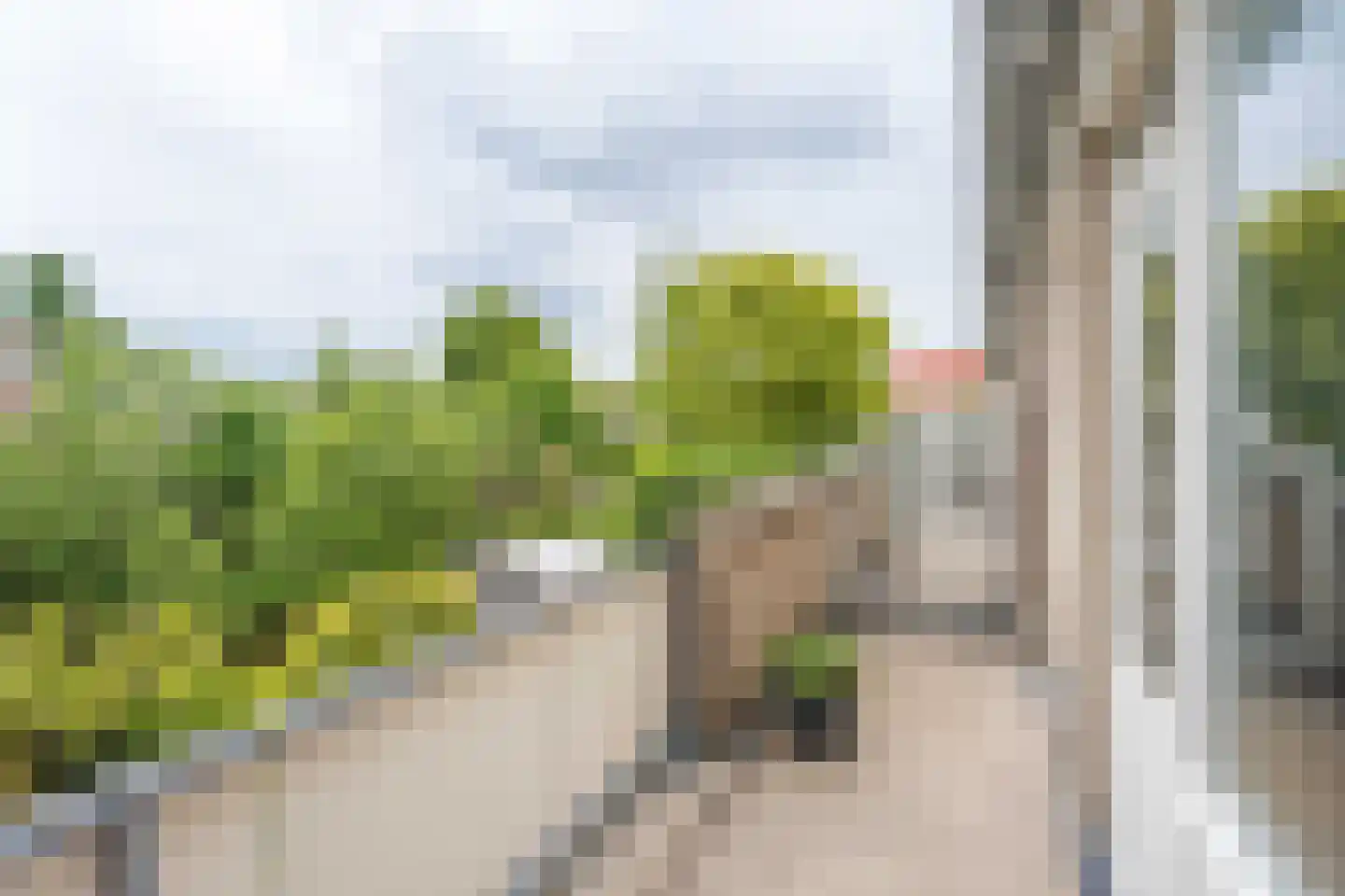 Munthof 7 Voorhout thumbnail 22