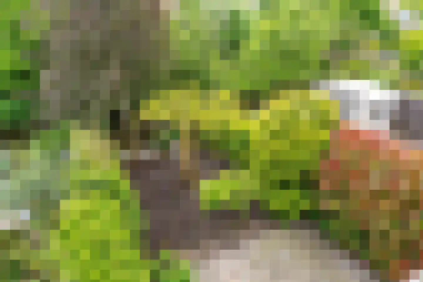 Munthof 7 Voorhout thumbnail 23