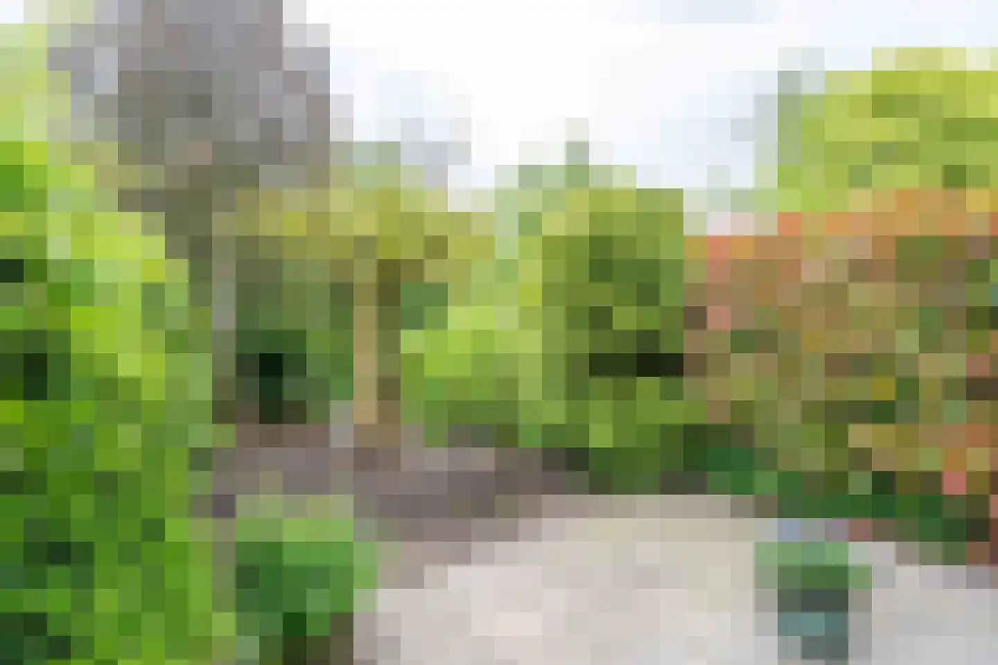 Munthof 7 Voorhout thumbnail 24
