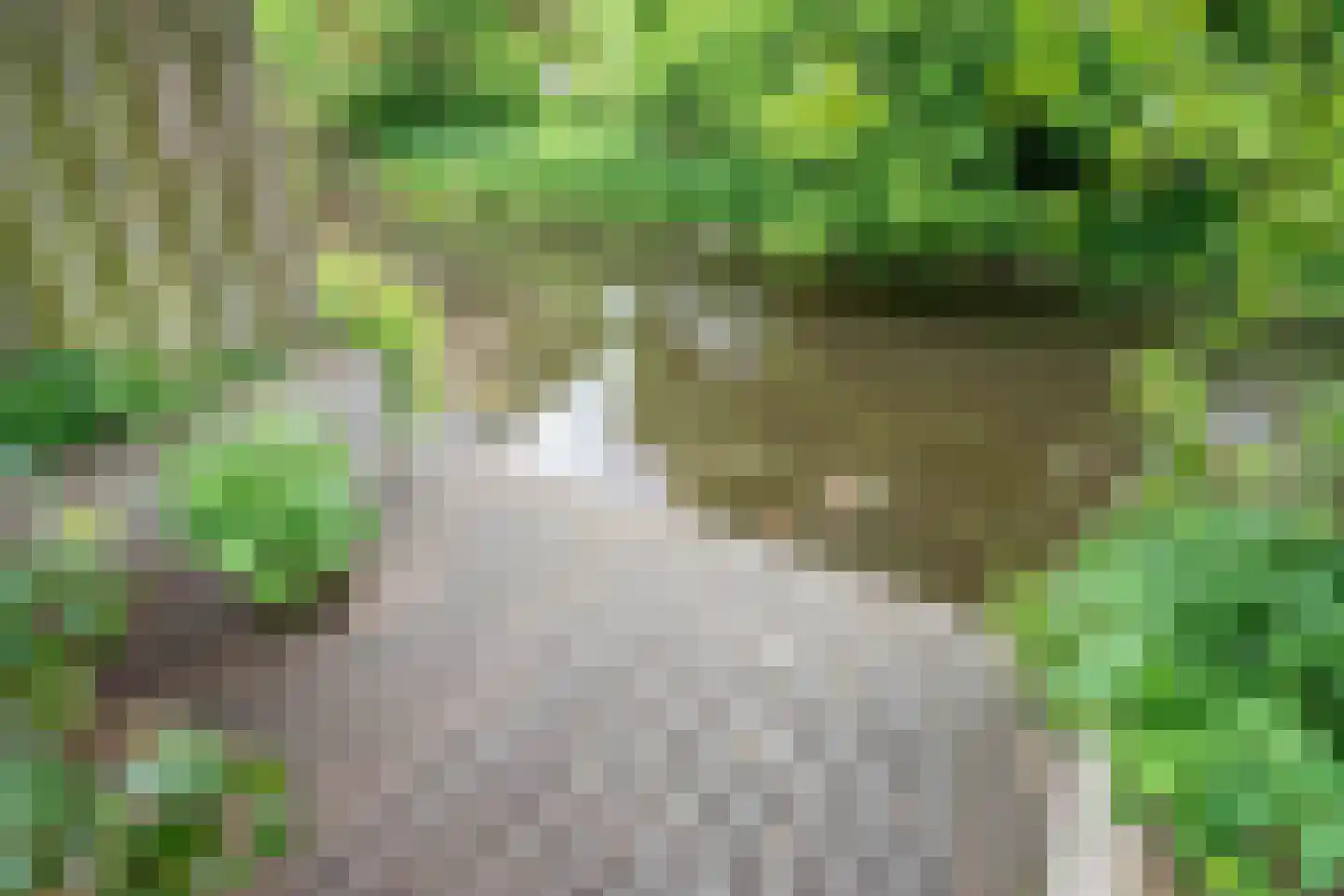 Munthof 7 Voorhout thumbnail 25