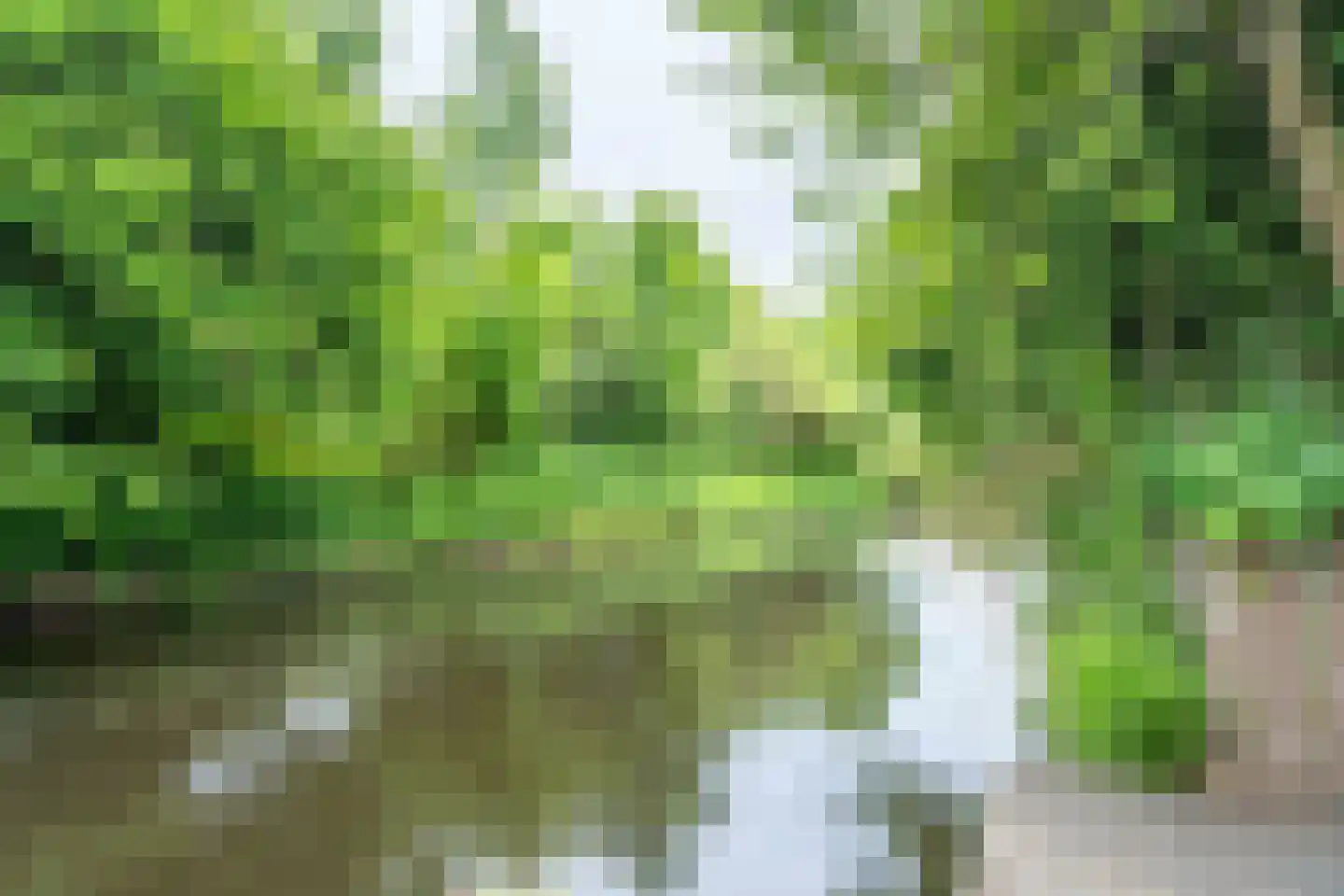 Munthof 7 Voorhout thumbnail 26