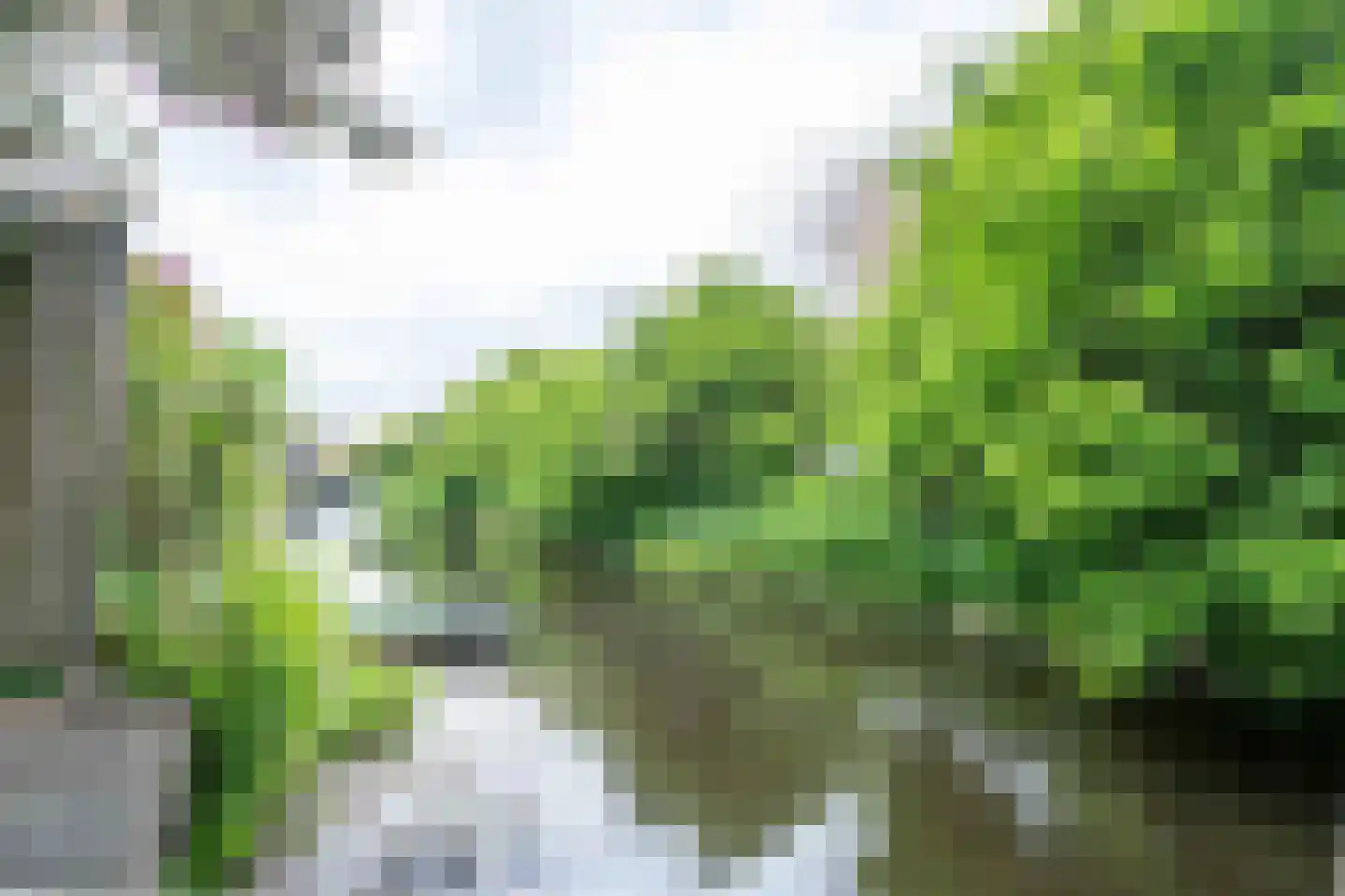 Munthof 7 Voorhout thumbnail 27