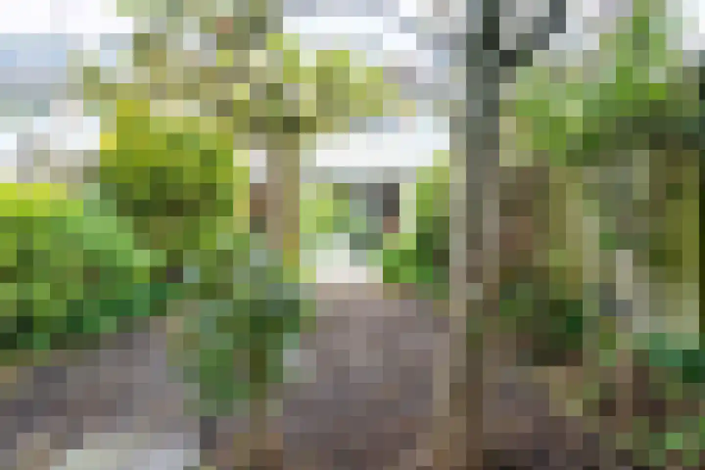 Munthof 7 Voorhout thumbnail 28