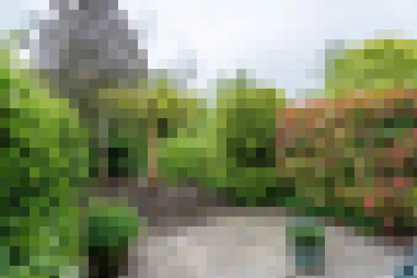 Munthof 7 Voorhout thumbnail 29