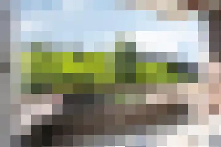 Muntinglaan 21 Groningen thumbnail 12