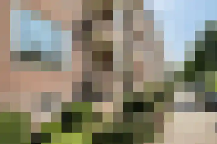 Muntinglaan 21 Groningen thumbnail 28