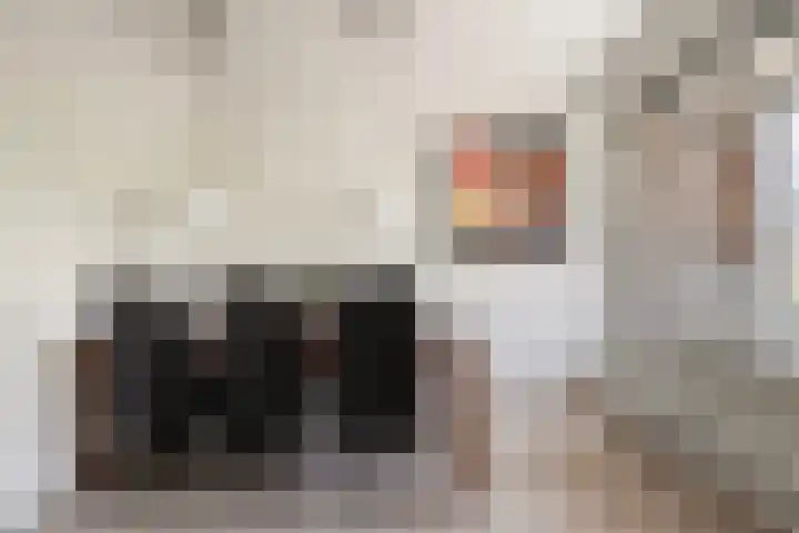 Muntinglaan 21 Groningen thumbnail 9