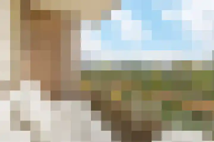 Muntinglaan 27 Groningen thumbnail 28