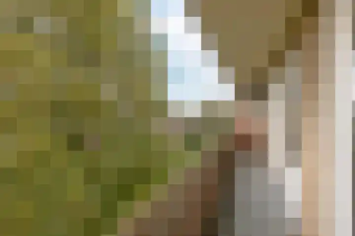 Muntinglaan 27 Groningen thumbnail 30
