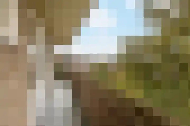 Muntinglaan 27 Groningen thumbnail 31
