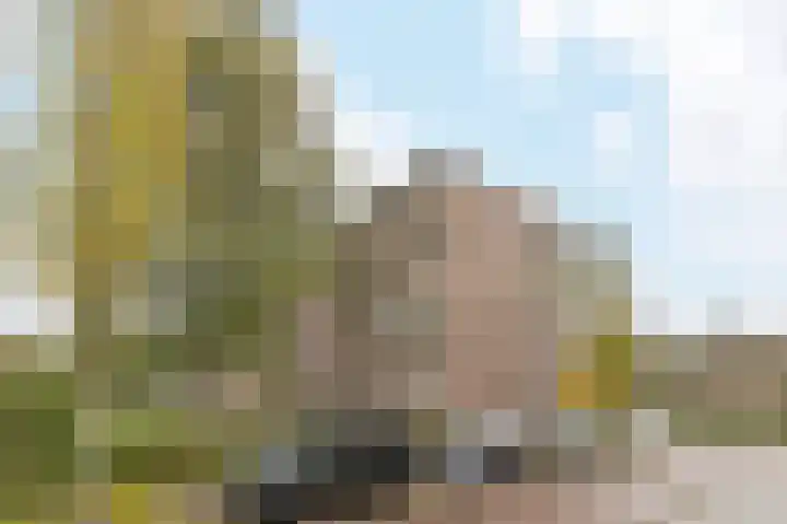 Muntinglaan 27 Groningen thumbnail 34