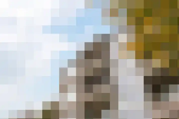 Muntinglaan 27 Groningen thumbnail 5