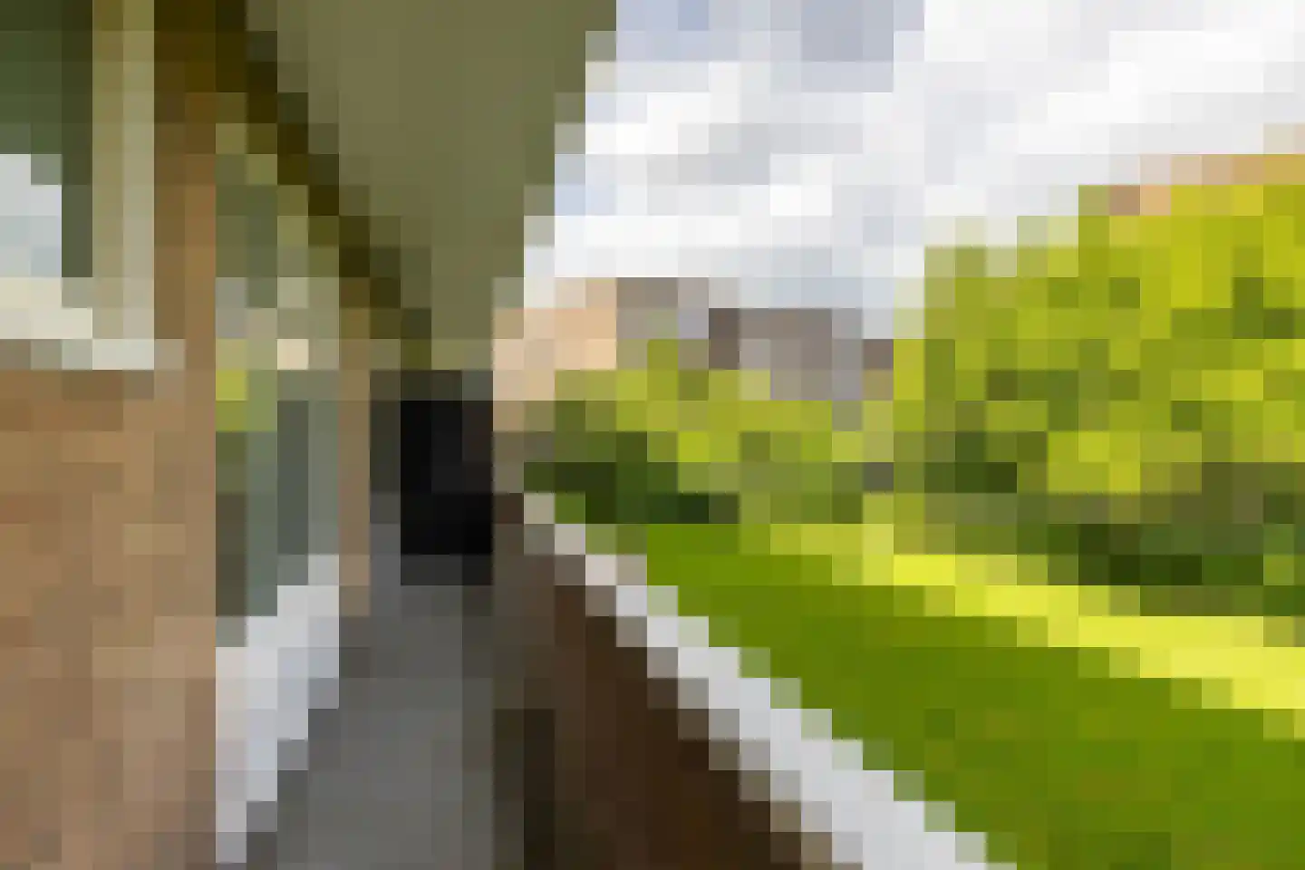 Muntinglaan 29 Groningen thumbnail 31