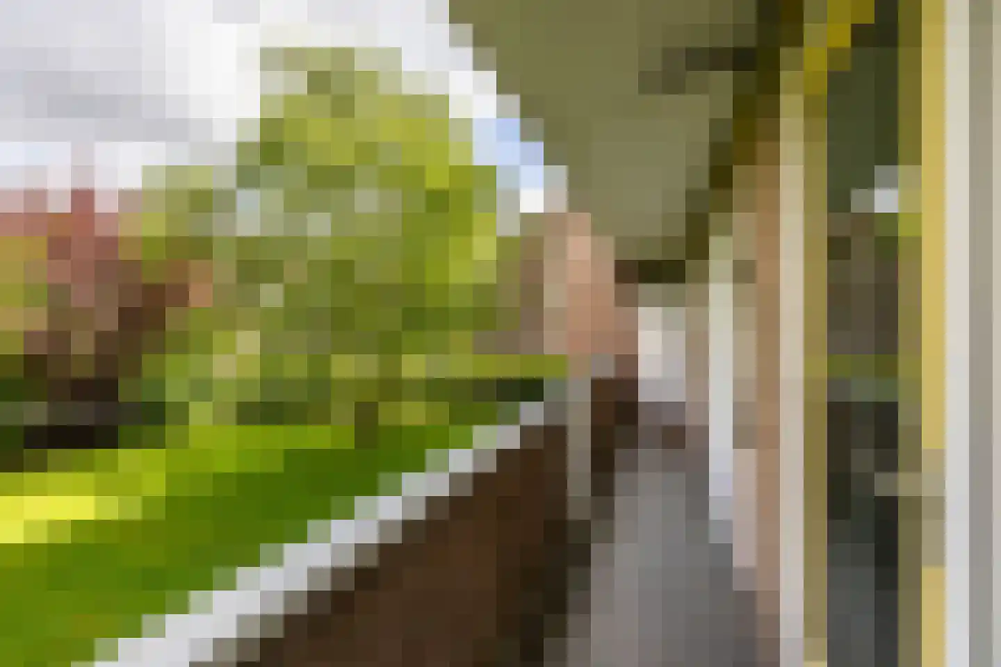 Muntinglaan 29 Groningen thumbnail 32