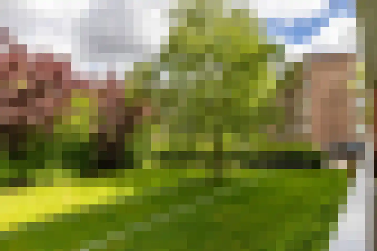 Muntinglaan 29 Groningen thumbnail 33