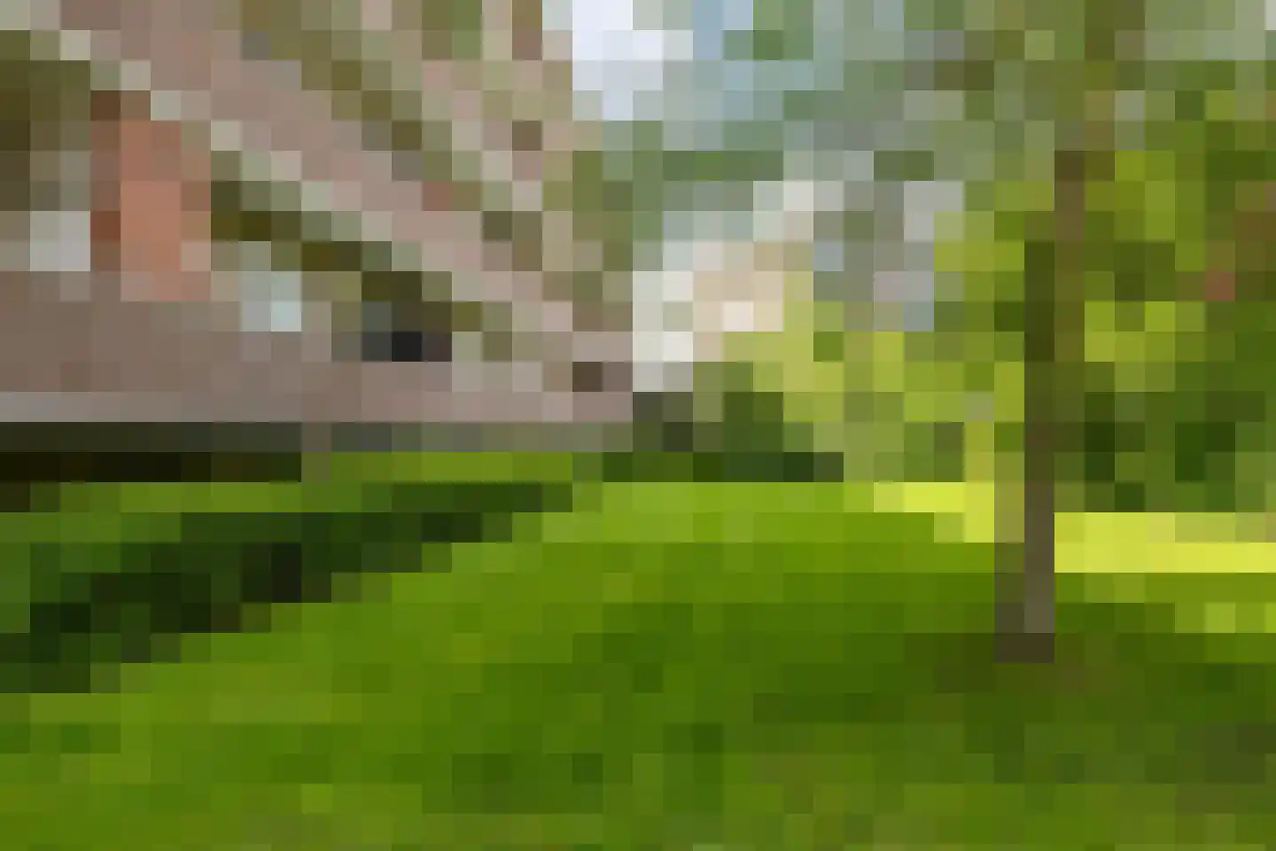 Muntinglaan 29 Groningen thumbnail 34