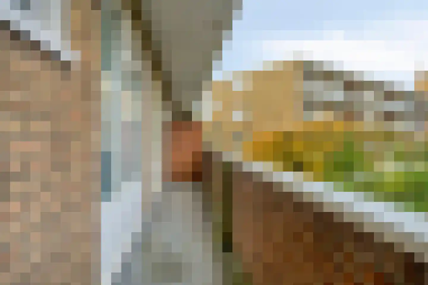 Muntinglaan 39 Groningen thumbnail 25