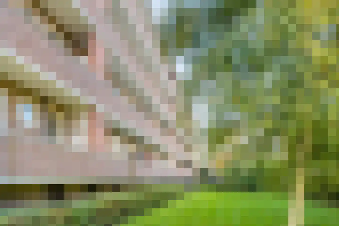 Muntinglaan 39 Groningen thumbnail 31