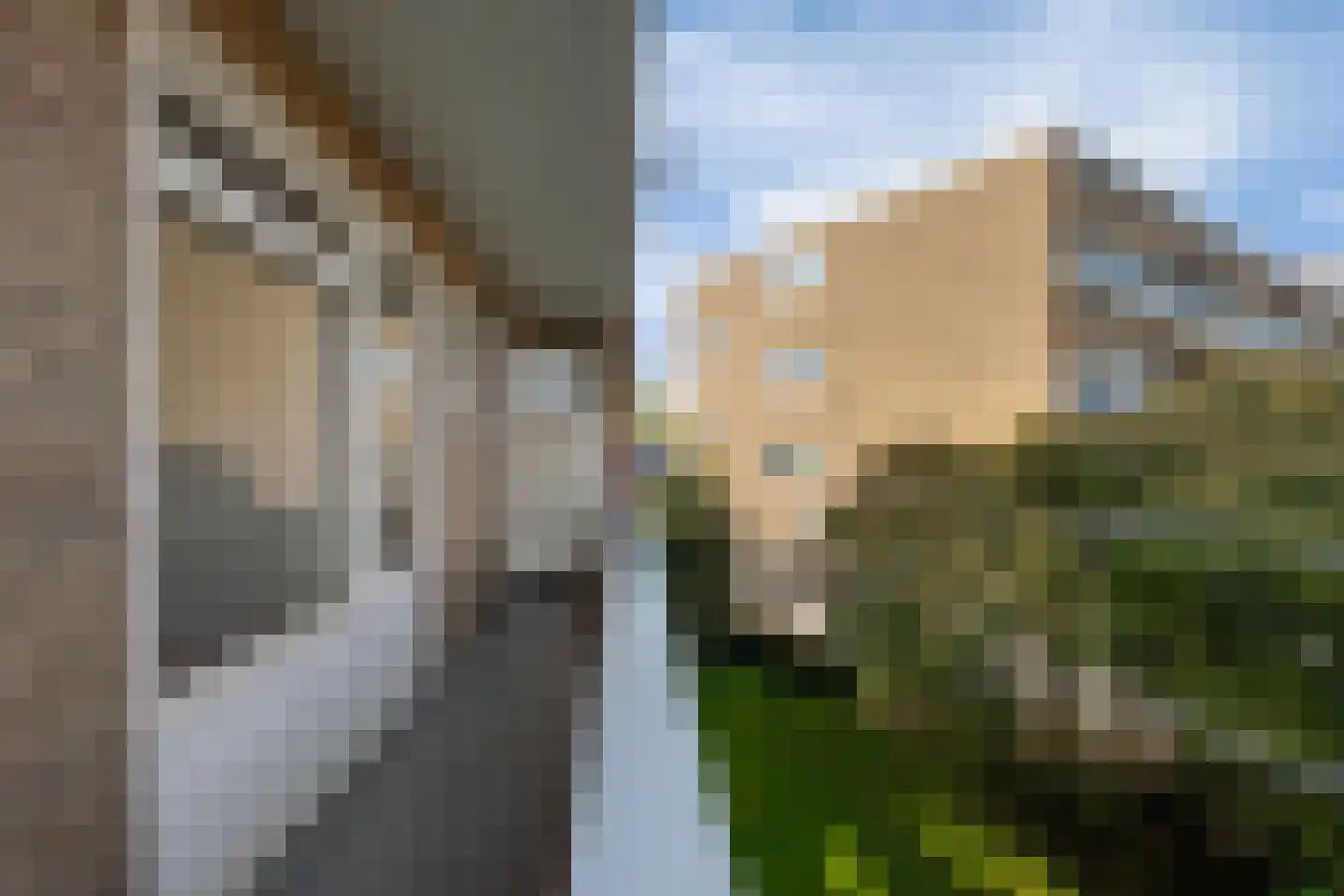 Muntinglaan 46 Groningen thumbnail 28