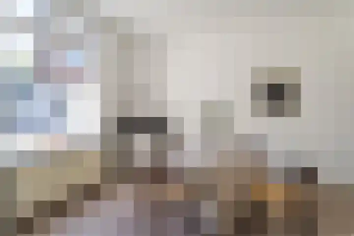 Muntkade 1 BS Utrecht thumbnail 12