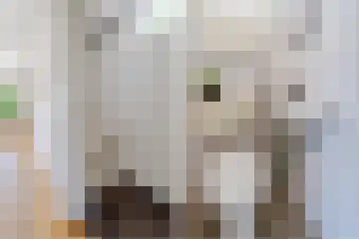 Muntkade 1 BS Utrecht thumbnail 16