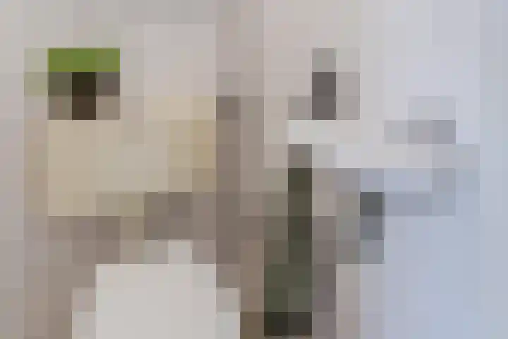 Muntkade 1 BS Utrecht thumbnail 17