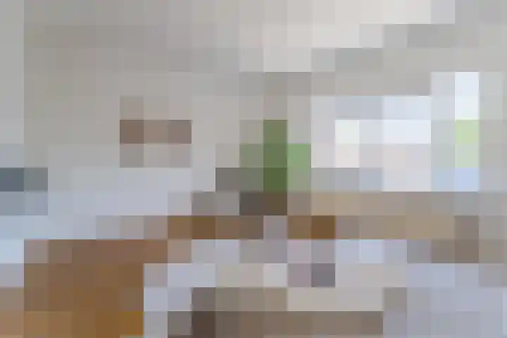 Muntkade 1 BS Utrecht thumbnail 21