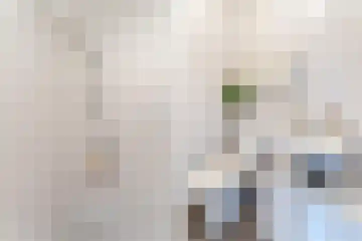 Muntkade 1 BS Utrecht thumbnail 22