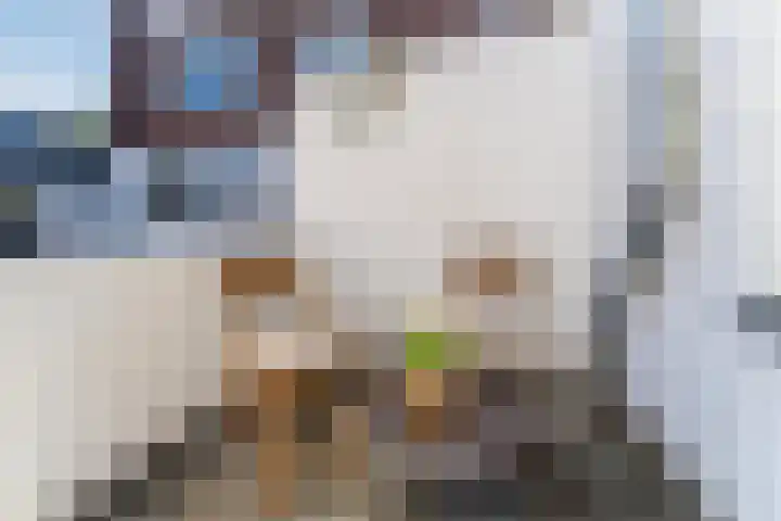 Muntkade 1 BS Utrecht thumbnail 5