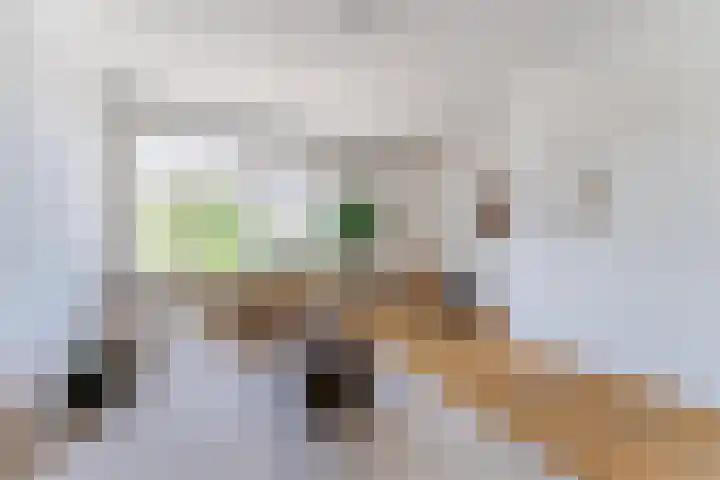 Muntkade 1 BS Utrecht thumbnail 6