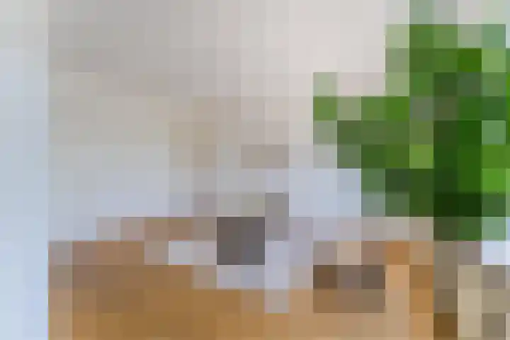 Muntkade 1 BS Utrecht thumbnail 7