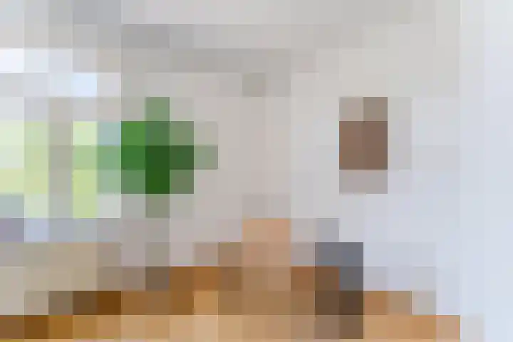 Muntkade 1 BS Utrecht thumbnail 9