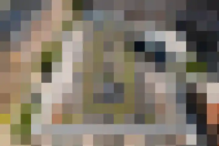 Muntkade 8 A 3 Utrecht thumbnail 26