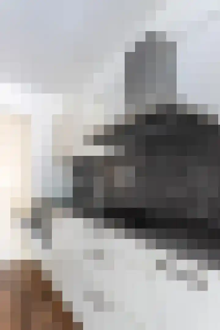 Muntkade 8 B 6 Utrecht thumbnail 16