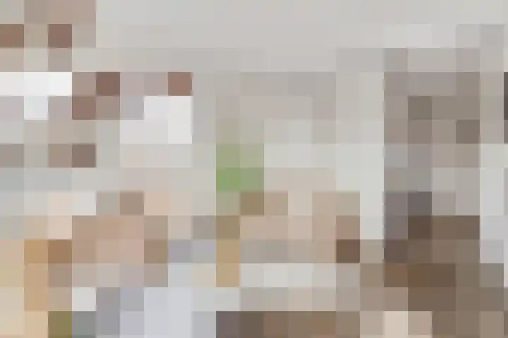 Muntkade 8 C 3 Utrecht thumbnail 11