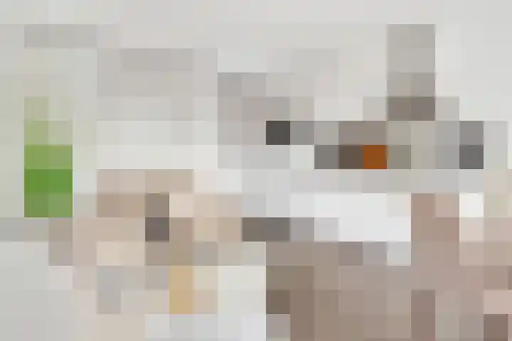 Muntkade 8 C 3 Utrecht thumbnail 13