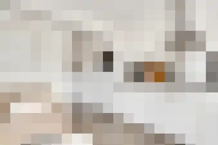 Muntkade 8 C 3 Utrecht thumbnail 16
