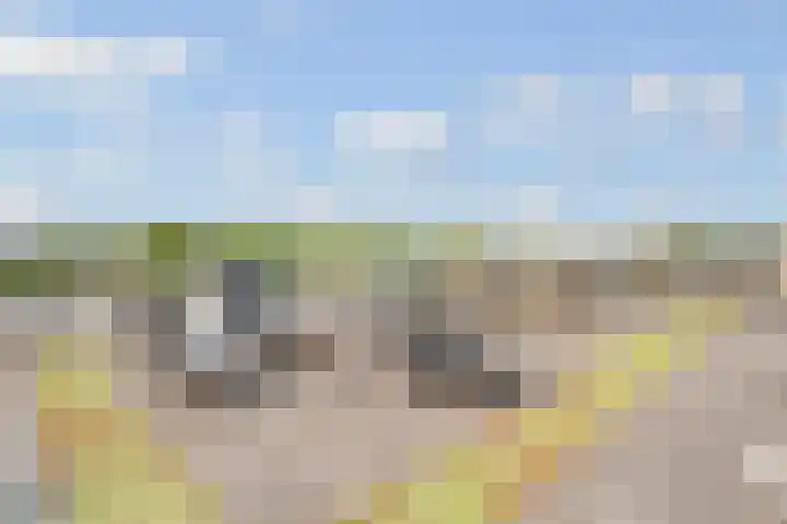 Muntkade 8 C 3 Utrecht thumbnail 30