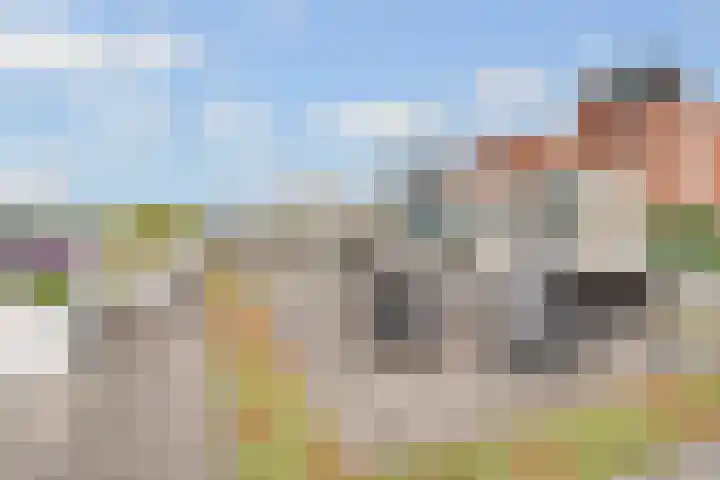 Muntkade 8 C 3 Utrecht thumbnail 31