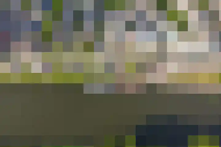 Muntkade 8 C 3 Utrecht thumbnail 37