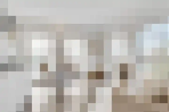Muntkade 8 C 3 Utrecht thumbnail 7