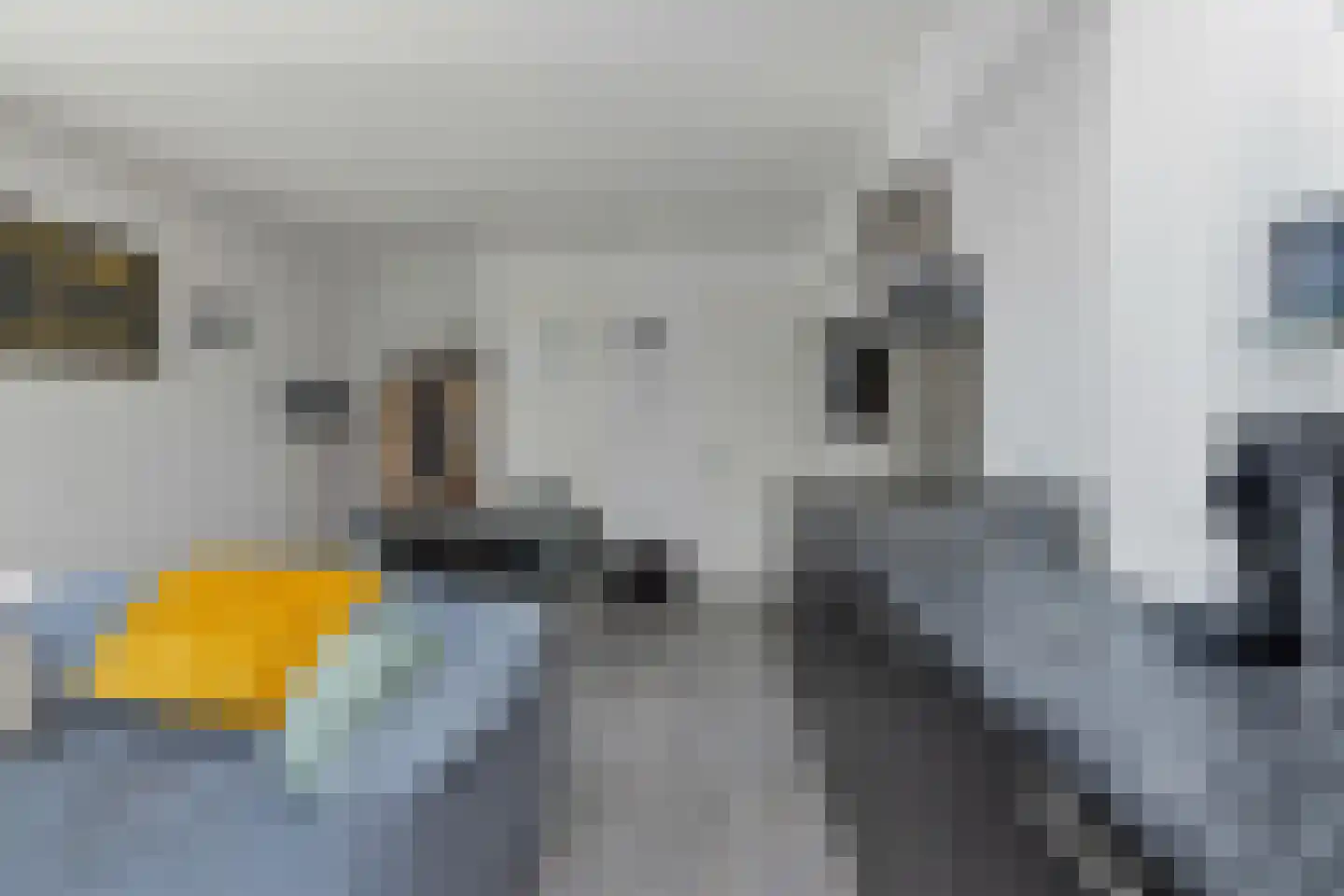 Muntkade 8 C 7 Utrecht thumbnail 15