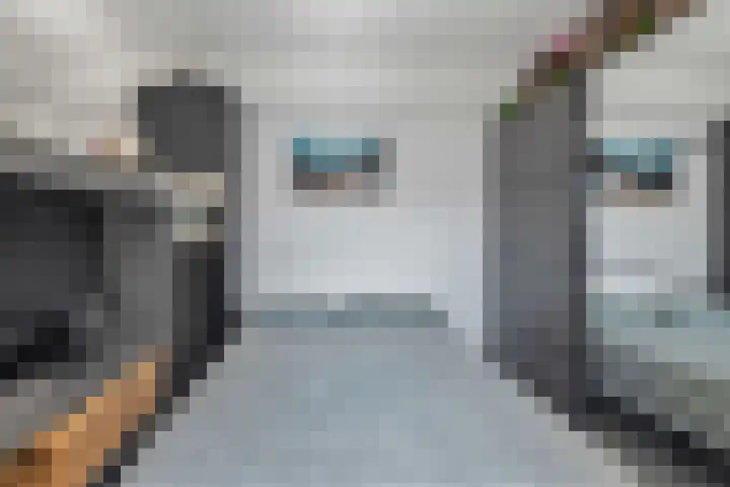 Muntkade 8 C 7 Utrecht thumbnail 20