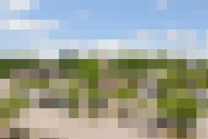 Muntkade 8 D 3 Utrecht thumbnail 15