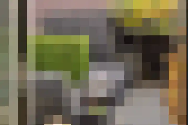 Muntmeester 145 Uden thumbnail 16