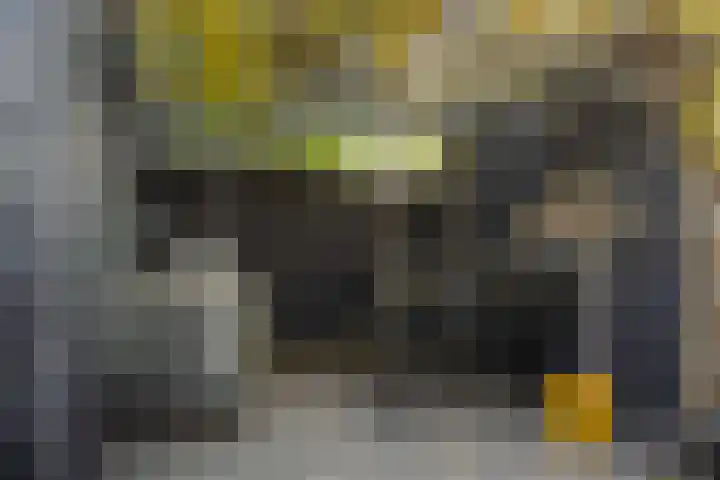 Muntmeester 145 Uden thumbnail 40