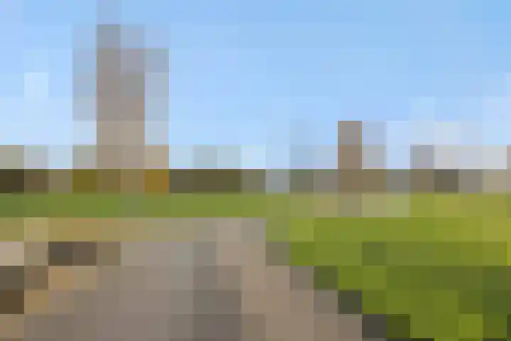 Muntmeester 145 Uden thumbnail 48