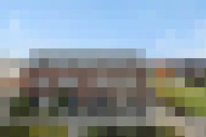 Muntmeester 145 Uden thumbnail 49
